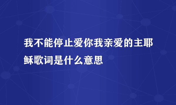 我不能停止爱你我亲爱的主耶稣歌词是什么意思