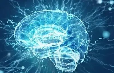 首次证明人脑细胞在体外也有智力:可在培养皿中打游戏,这意味着啥?