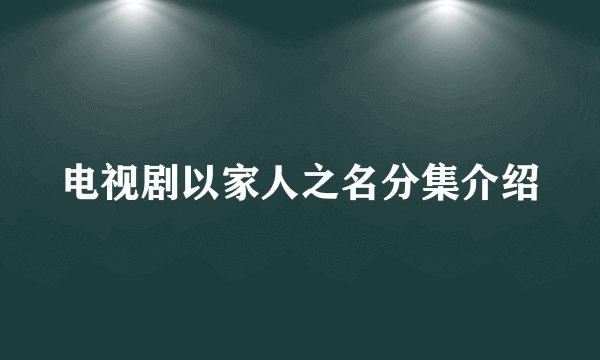 电视剧以家人之名分集介绍