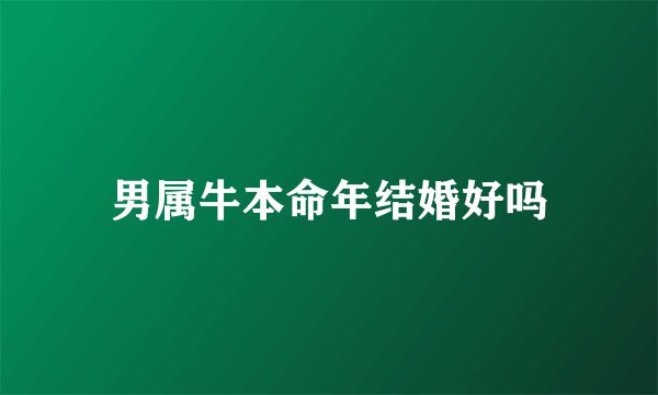 男属牛本命年结婚好吗