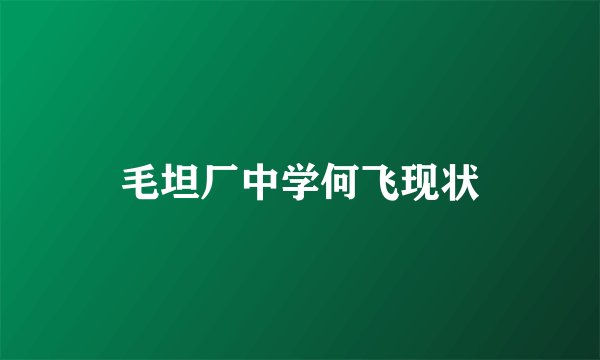 毛坦厂中学何飞现状