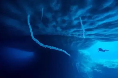 南极附近的死亡冰柱能杀死那么多生物，是什么原因呢？