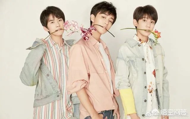你们喜欢tfboys里的王源和王俊凯吗?