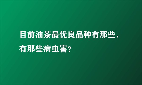 目前油茶最优良品种有那些，有那些病虫害？