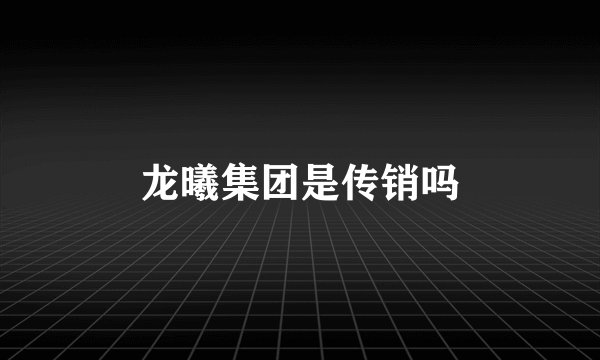 龙曦集团是传销吗