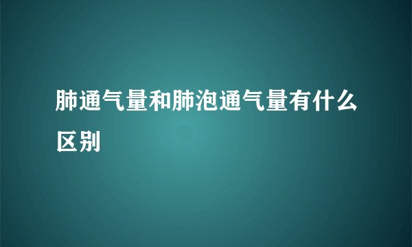 肺通气量和肺泡通气量有什么区别
