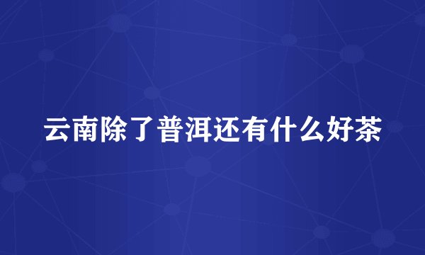 云南除了普洱还有什么好茶