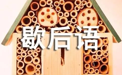 小学五年级汉字谐音歇后语