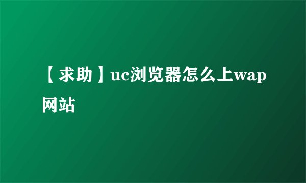 【求助】uc浏览器怎么上wap网站