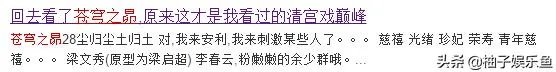 如何评价电视剧《苍穹之昴》?