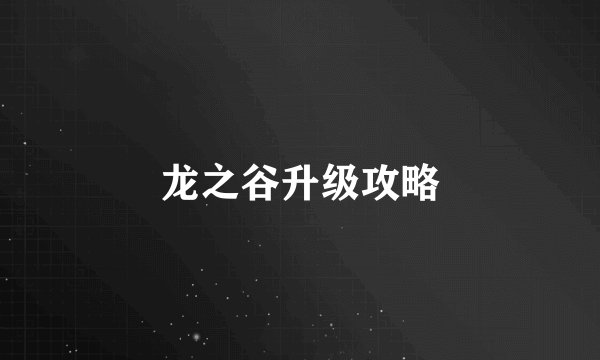 龙之谷升级攻略