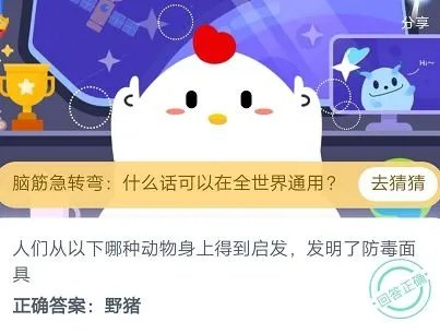 人们从以下哪种动物身上得到启发,发明了防毒面具
