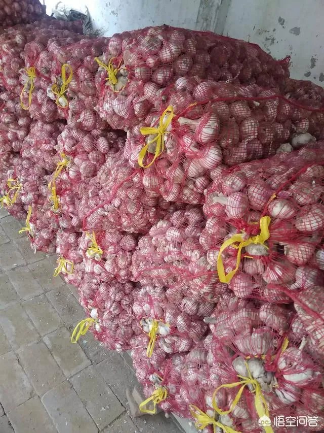 大蒜陆续上市,今年下半年我国大蒜价格会一直突飞猛进吗?