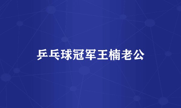 乒乓球冠军王楠老公
