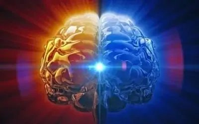 首次证明人脑细胞在体外也有智力：可在培养皿中打游戏，这意味着啥？