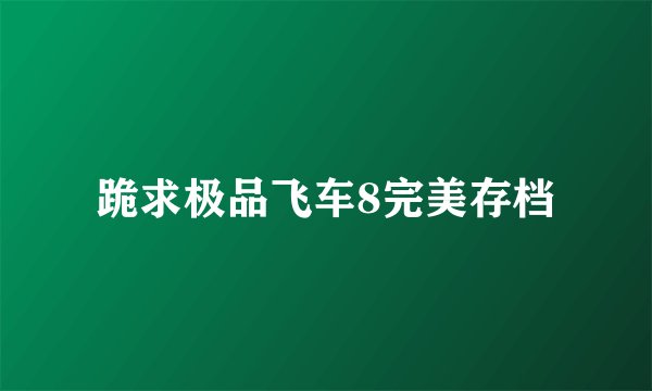 跪求极品飞车8完美存档