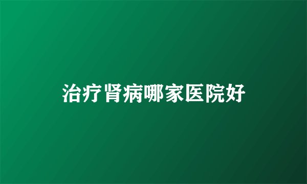 治疗肾病哪家医院好