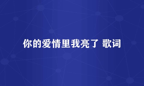 你的爱情里我亮了 歌词