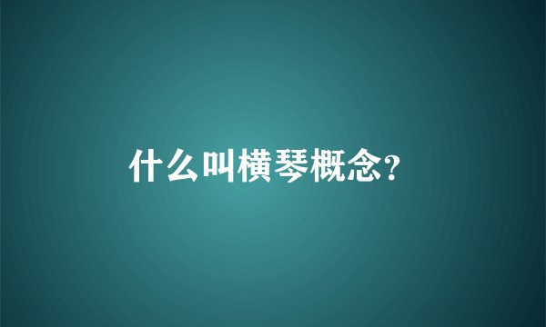 什么叫横琴概念？