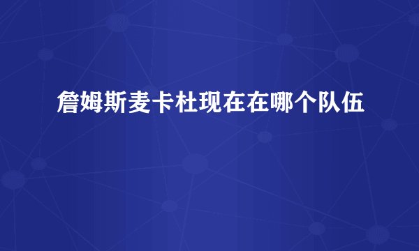 詹姆斯麦卡杜现在在哪个队伍
