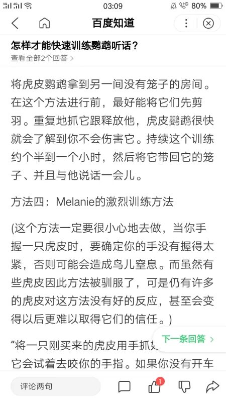 如何训练出一只听话的宠物鸽子?