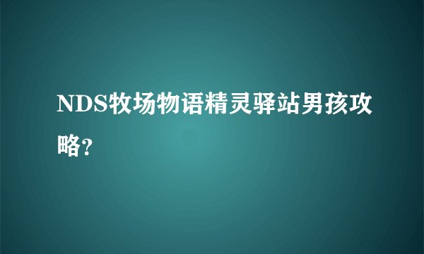 NDS牧场物语精灵驿站男孩攻略?