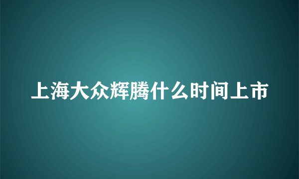 上海大众辉腾什么时间上市