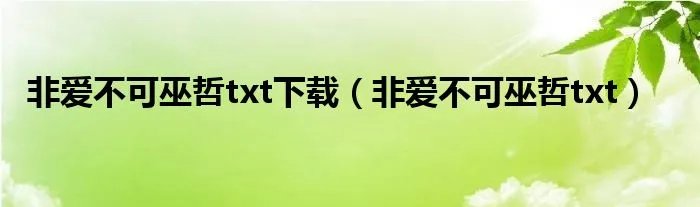 非爱不可巫哲txt下载（非爱不可巫哲txt）