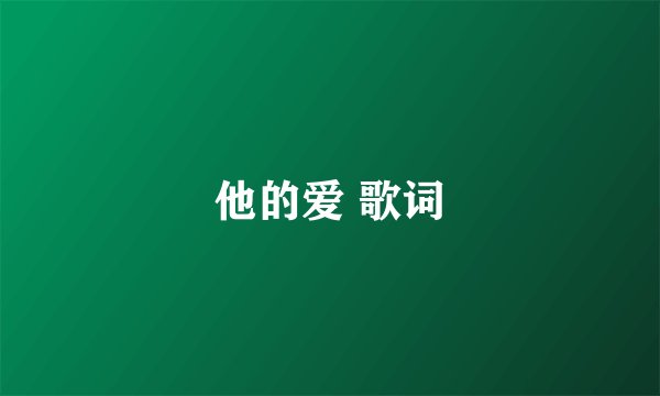 他的爱 歌词