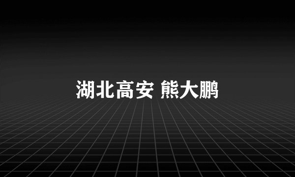 湖北高安 熊大鹏