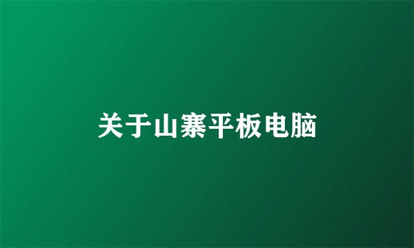 关于山寨平板电脑