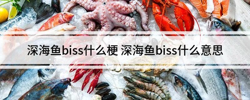 深海鱼biss什么梗 深海鱼biss什么意思