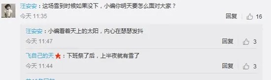 上海预报的大雪下了吗?