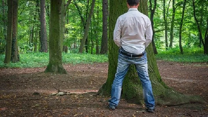 盘点男性健康的小贴士
