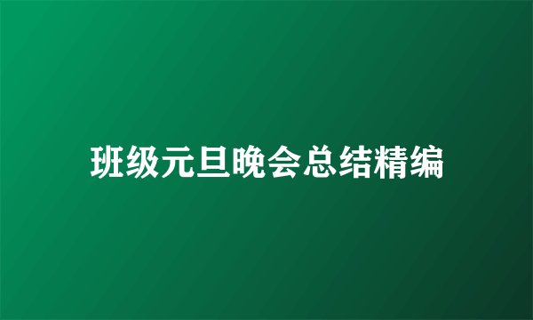 班级元旦晚会总结精编