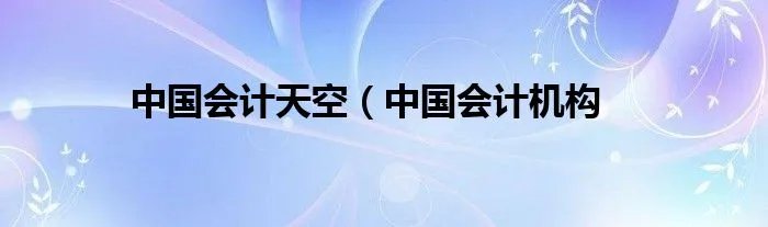 中国会计天空（中国会计机构