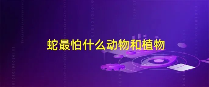 蛇最怕什么动物和植物