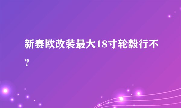 新赛欧改装最大18寸轮毂行不？