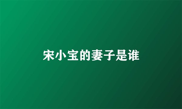 宋小宝的妻子是谁