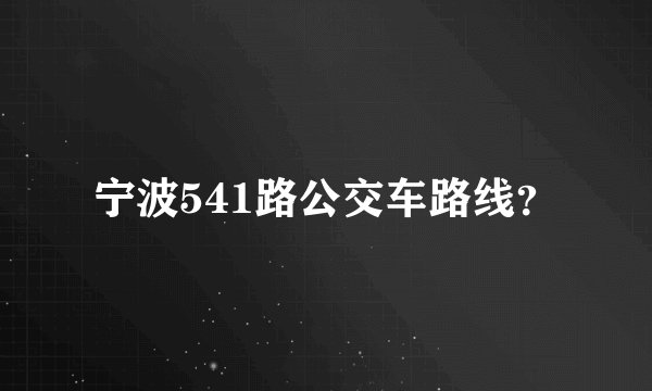 宁波541路公交车路线？