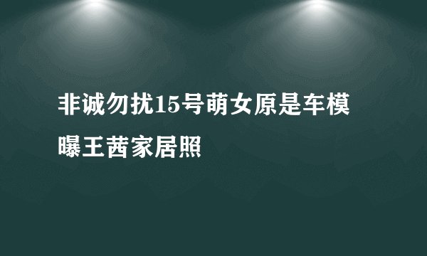 非诚勿扰15号萌女原是车模 曝王茜家居照