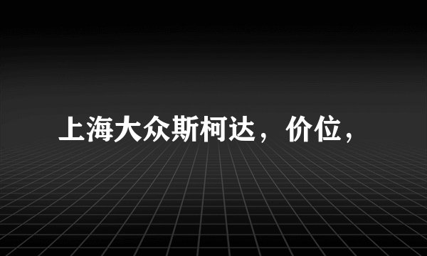 上海大众斯柯达，价位，