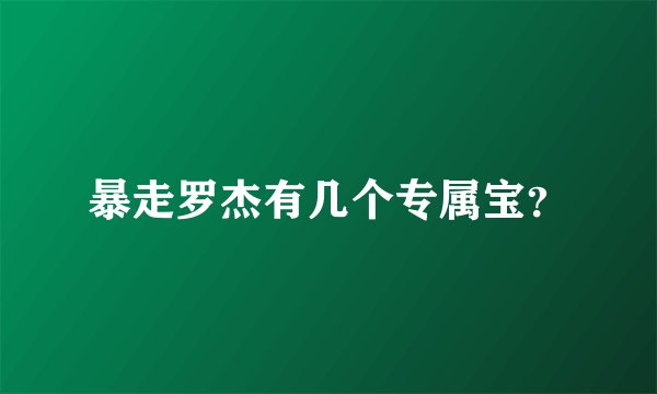 暴走罗杰有几个专属宝？