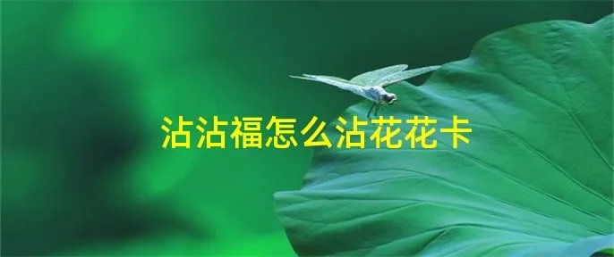 沾沾福怎么沾花花卡