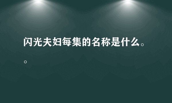 闪光夫妇每集的名称是什么。。