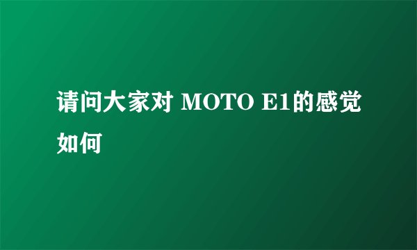 请问大家对 MOTO E1的感觉如何