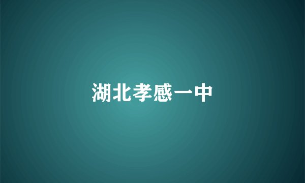 湖北孝感一中