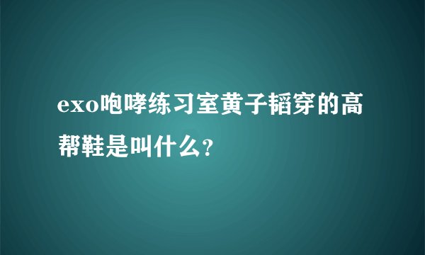 exo咆哮练习室黄子韬穿的高帮鞋是叫什么？