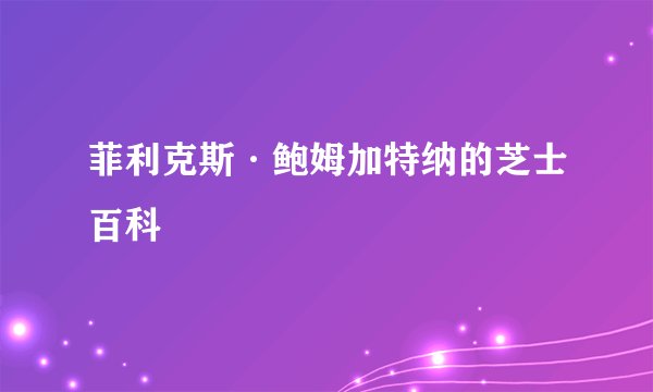 菲利克斯·鲍姆加特纳的芝士百科