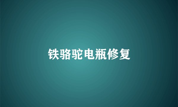 铁骆驼电瓶修复